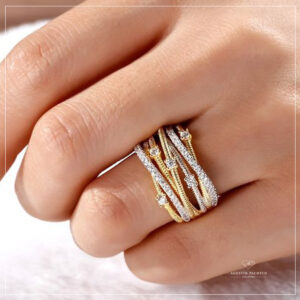 Anillo del Mundo 019