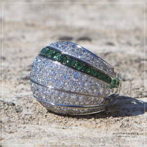 Anillo del Mundo 041
